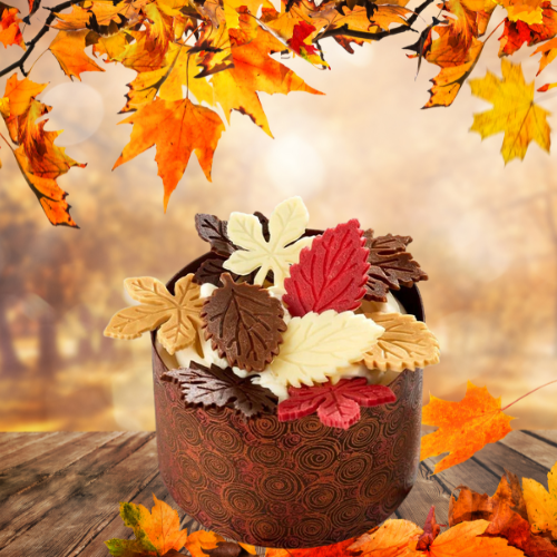 Autumn Collection